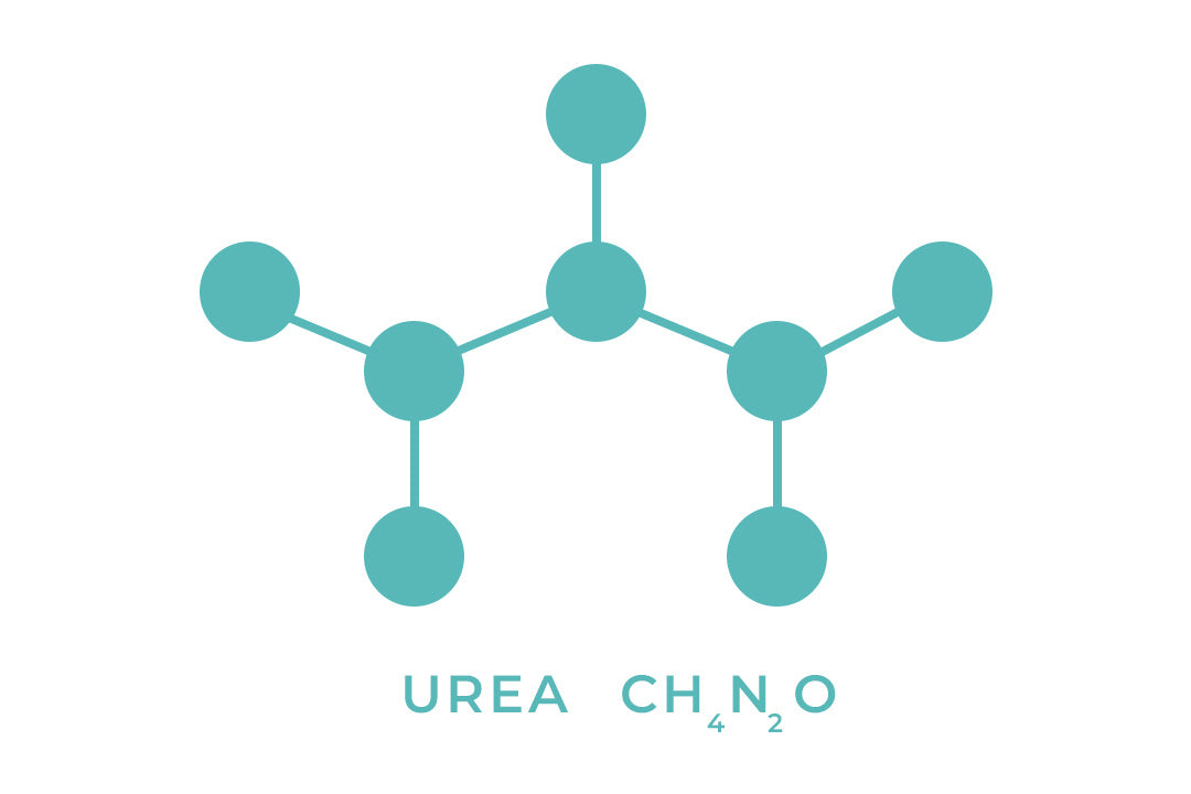 UREA